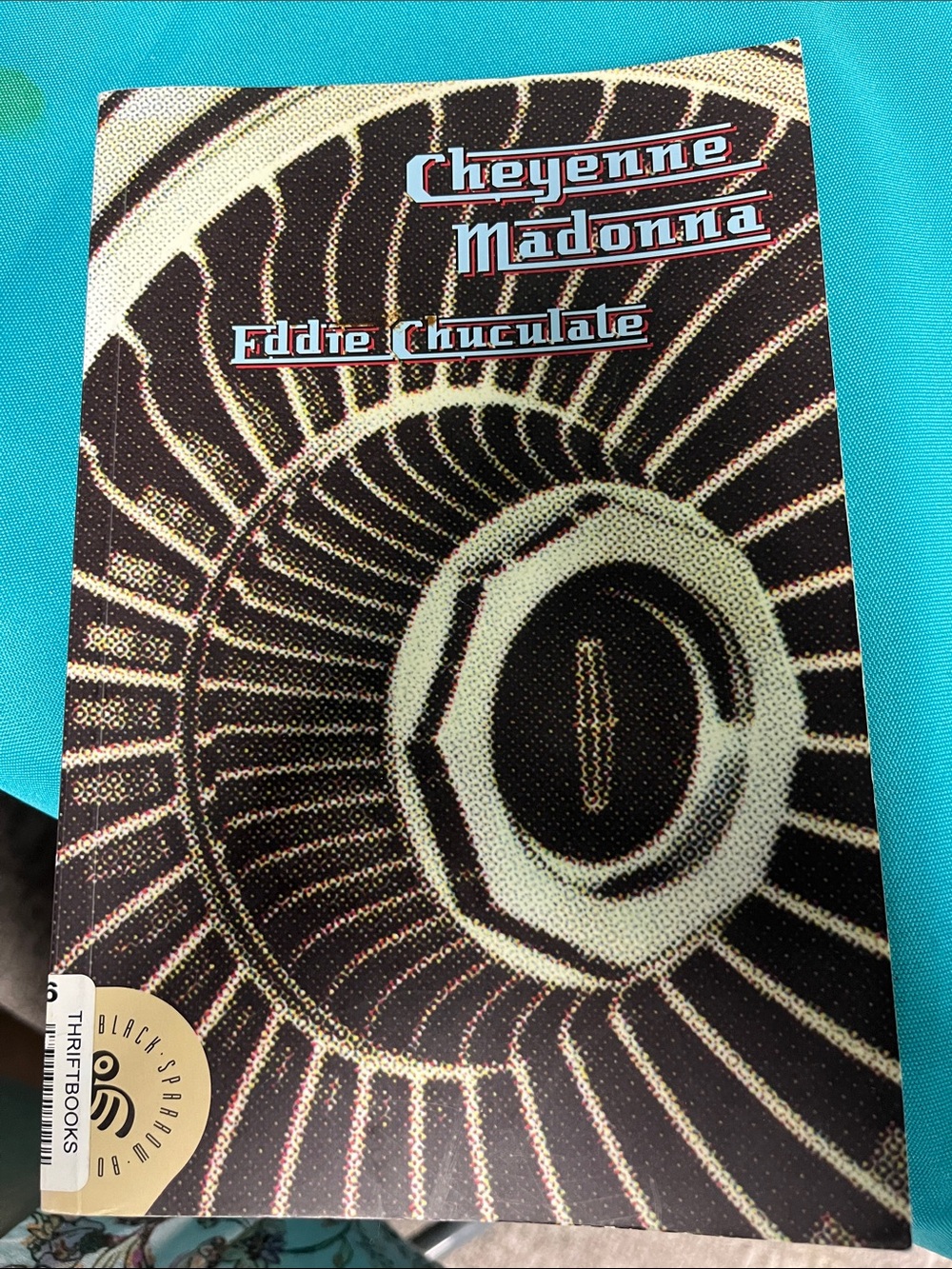 Book: Cheyenne Madonna